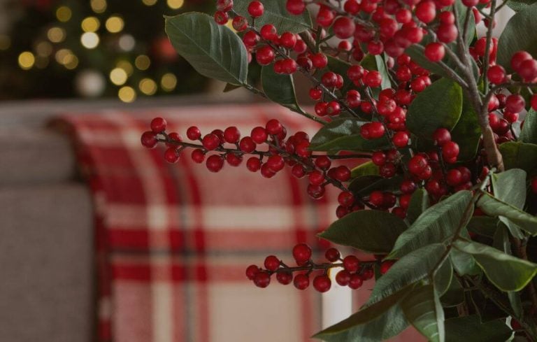 Ralph Lauren Christmas - Décors Véronneau