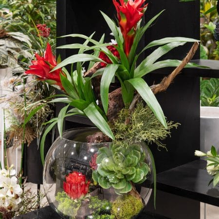 Fleur extérieure UV de bromélia rouge, 20'' - Décors Véronneau