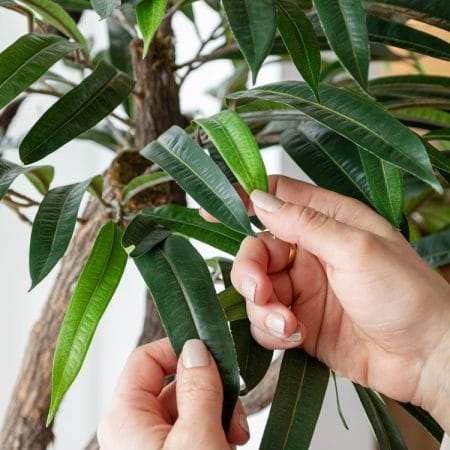 Branche de ficus alii artificiel, 26'' - Décors Véronneau