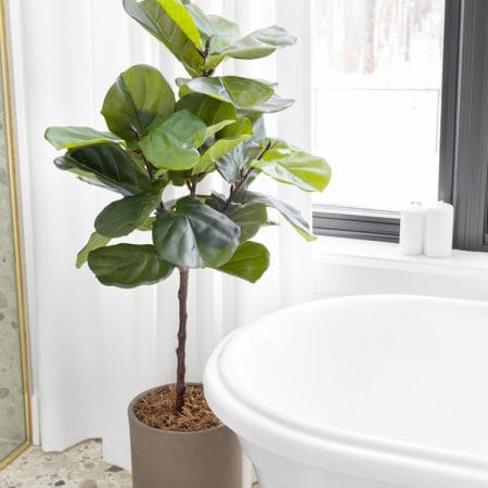 Arbre figuier lyre artificiel, 47'' - Décors Véronneau