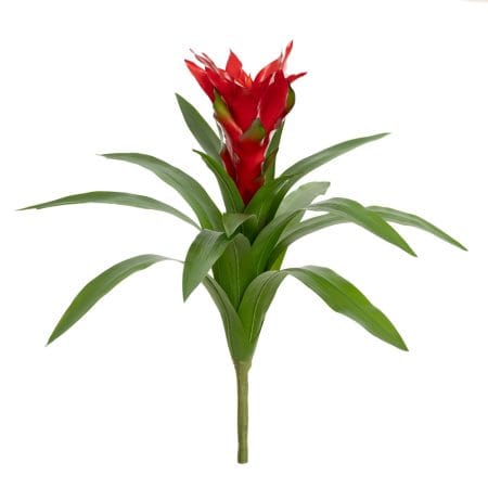 Fleur extérieure UV de bromélia rouge, 20''