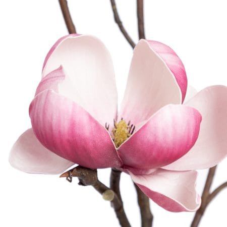 Pink and white artificial magnolia flower, 29'' - Décors Véronneau