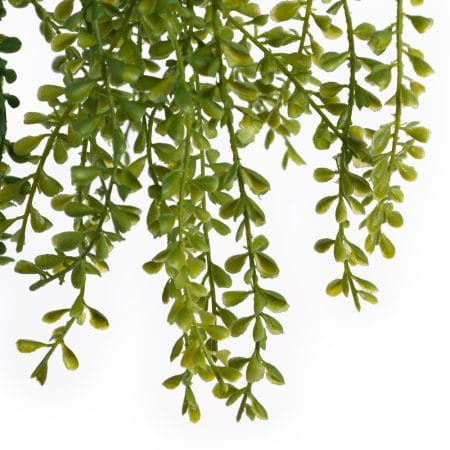Artificial trailing succulent plant, 35,5'' - Décors Véronneau
