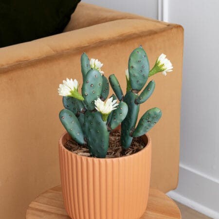 Artificial flowering green-grey cactus pick, 14'' - Décors Véronneau