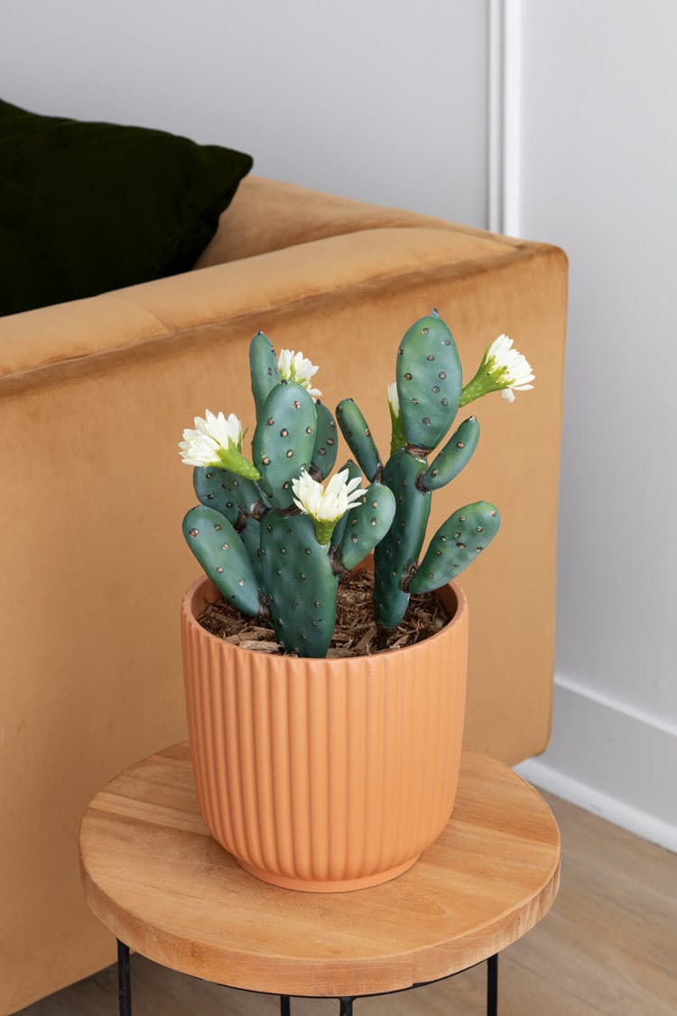 Pics de cactus artificiel avec fleur en pot - Décors Véronneau