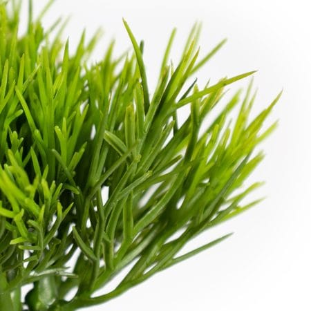 Artificial dill stem, 7'' - Décors Véronneau