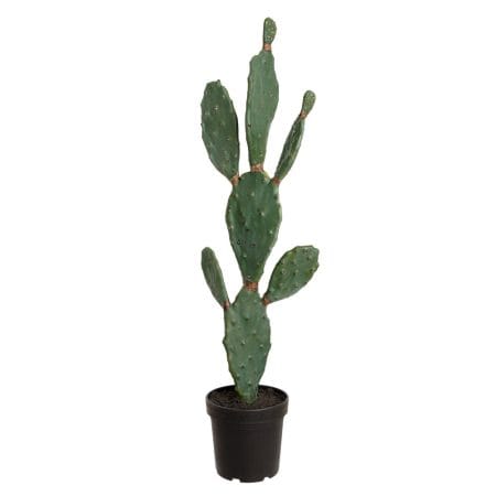 Artificial green-grey bunny ear cactus, 38''