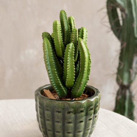 Artificial long green cactus pick, 9'' - Décors Véronneau