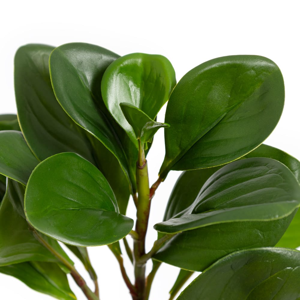 Feuillage de peperomia vert foncé artificiel - Décors Véronneau