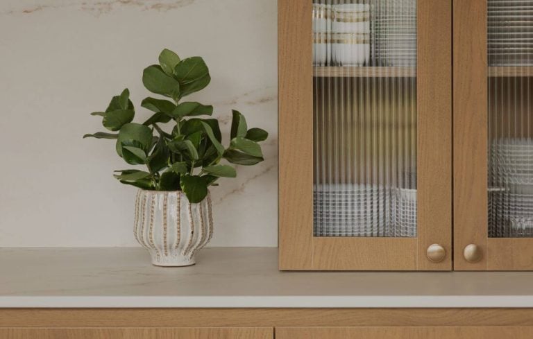 Artificial clusia in a kitchen - Décors Véronneau