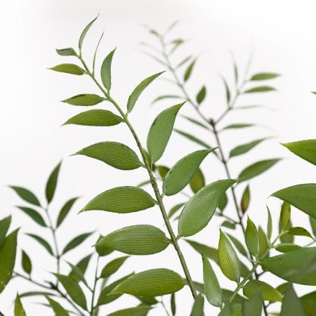 Artificial ruscus leaves bush, 36'' - Décors Véronneau