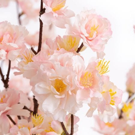 Bouquet de fleurs de cerisier rose en vase - Décors Véronneau