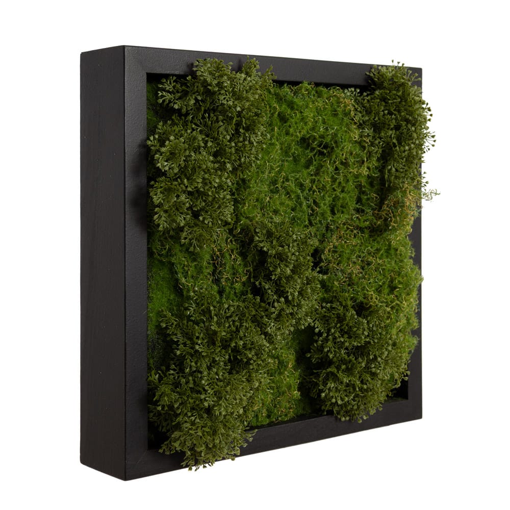 Artificial green moss plant frame, 12 x 12'' - Image 3 - Décors Véronneau