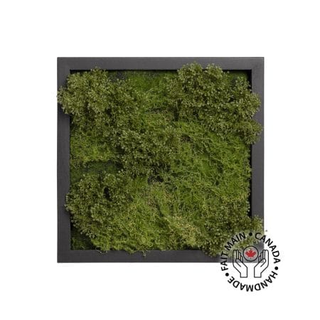 Cadre végétal artificiel avec mousse verte, 12 x 12''