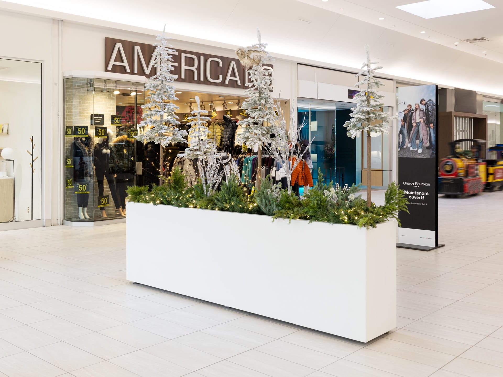 Bacs de sapins alpins enneigés au Centre Laval - Décors Véronneau