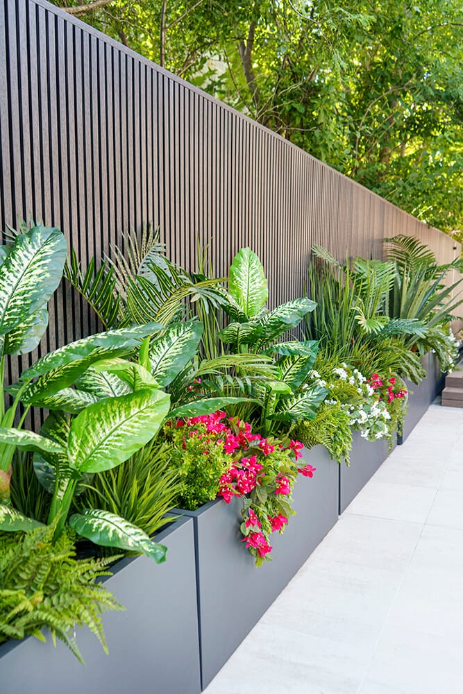 Végétaux tropicaux en bacs - Décors Véronneau