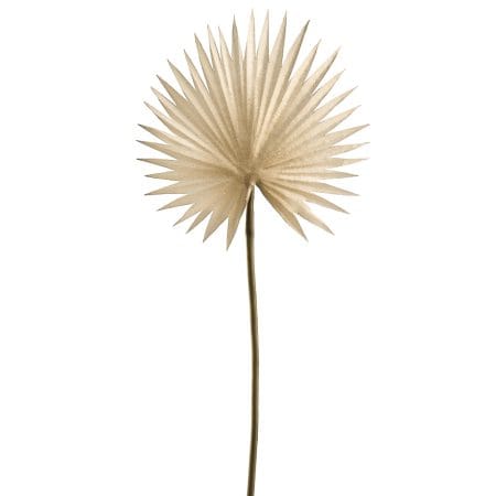 Artificial beige fan palm leaf, 15,5''