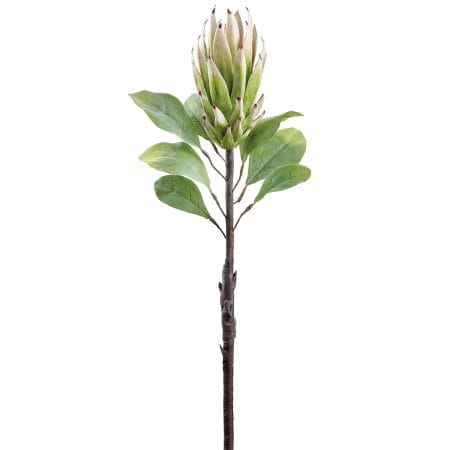 Artificial green and cream protea, 29''