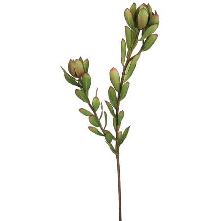 Artificial leucadendron stem, 24''