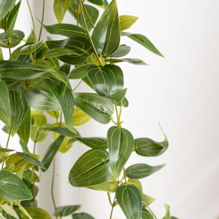 Artificial wandering jew pant, 41'' - Décors Véronneau