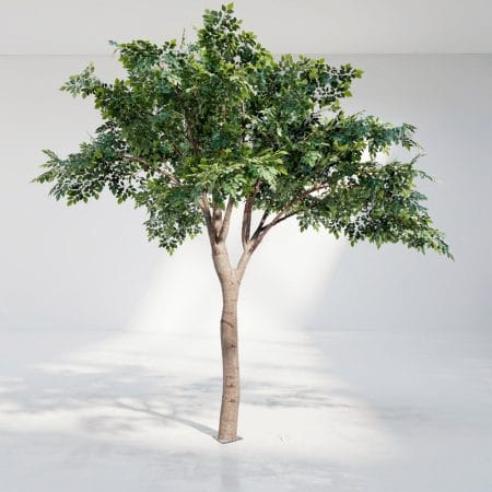 Arbre banian artificiel ignifuge - Décors Véronneau