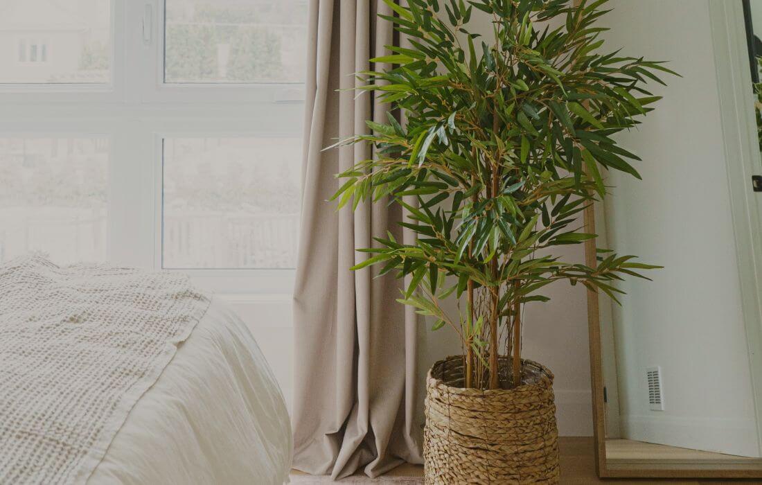 Décor zen avec bambou - Décors Véronneau