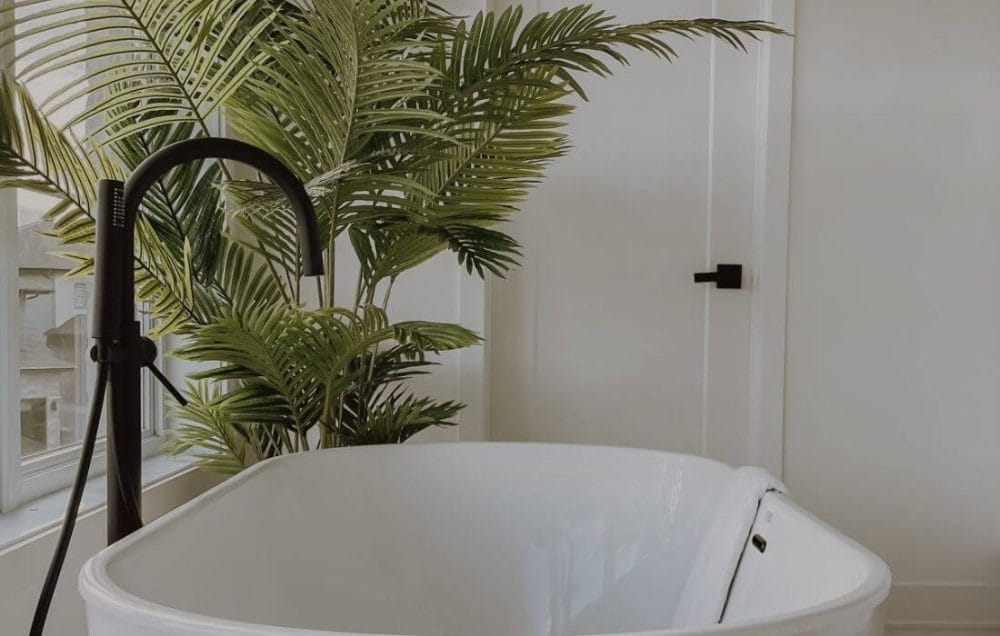 Palmier dans une salle de bain - Décors Véronneau