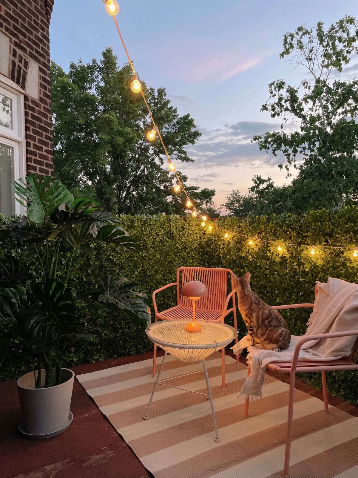 Balcon tropical avec treillis et monstera - Décors Véronneau