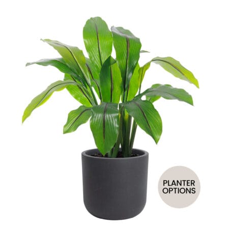 Outdoor artificial potted curcuma