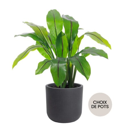 Curcuma artificiel extérieur en pot