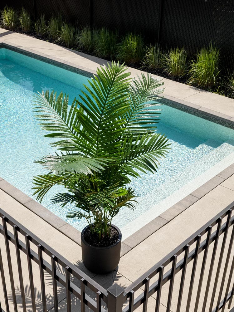 Piscine creusée avec un palmier areca en pot noir - Décors Véronneau