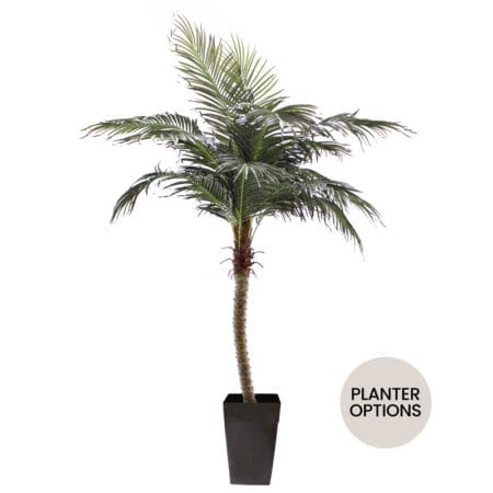 Artificial potted phoenix outdoor palm tree