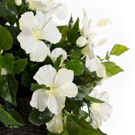 Jardinière suspendue d'hibiscus blanc en pot noir, 24 x 16'' - Décors Véronneau