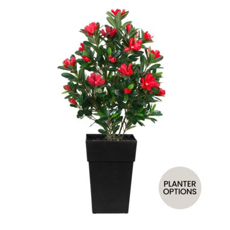 Artificial outdoor potted red rhododendron plant