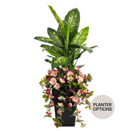 Petunia and dieffenbachia outdoor flower arrangement