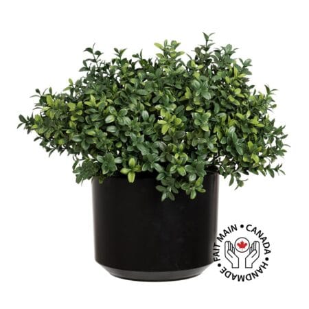 Buis ignifuge extérieur en pot noir, 13''