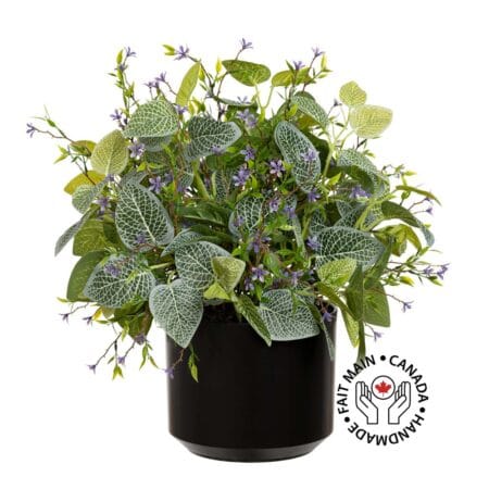 Plant de fittonia et fleurs mauves extérieures en pot noir, 16''