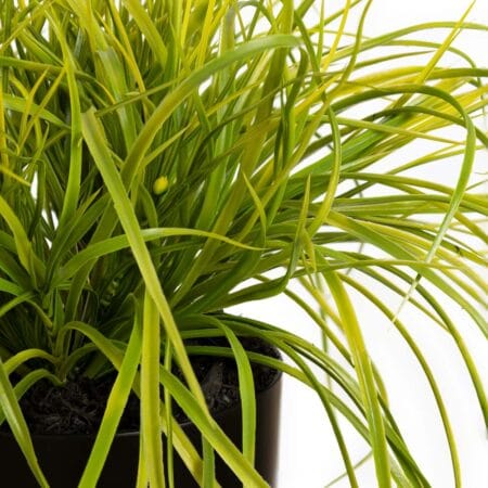Petite plante verte artificielle extérieure en pot noir, 15'' - Décors Véronneau