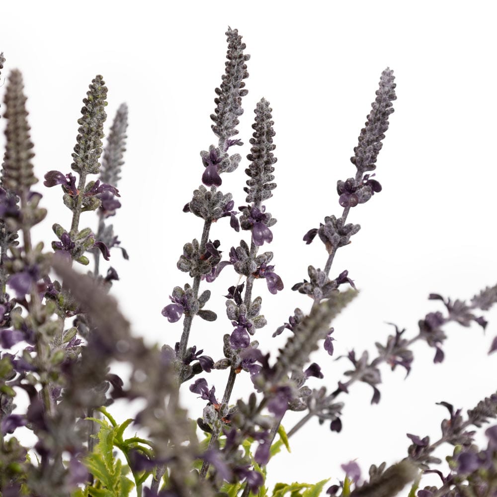 Lavande mauve artificielle extérieure en pot noir - Décors Véronneau