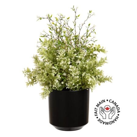 Arrangement extérieur de buis et fleurs blanches en pot noir, 22''