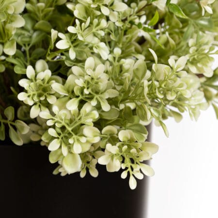Arrangement extérieur de buis et fleurs blanches en pot noir, 22'' - Décors Véronneau