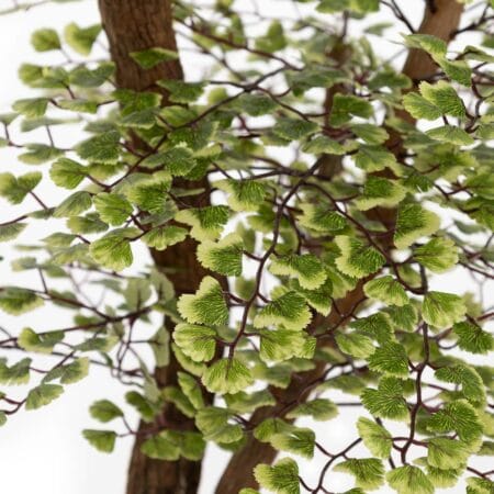 Arbre maidenhair artificiel fait main sur tronc de dragon wood - Décors Véronneau
