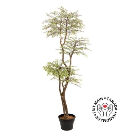 Arbre maidenhair artificiel fait main sur tronc de dragon wood