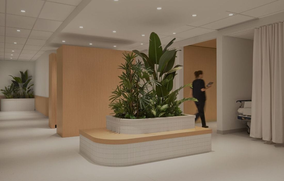 Inserts pour bacs à plantes, clinique Westmount - Décors Véronneau