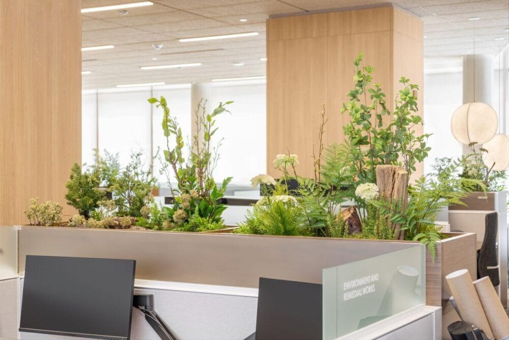 Plantes et caissons de - Décors Véronneau