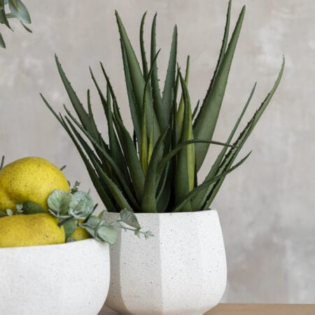 Potted faux verdigris aloe vera plant, 15'' - Décors Véronneau