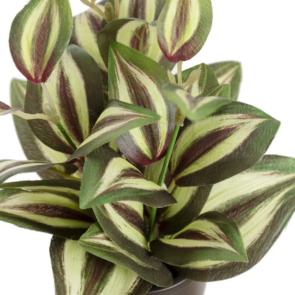 Petite plante de tradescentia artificiel en pot noir - Décors Véronneau