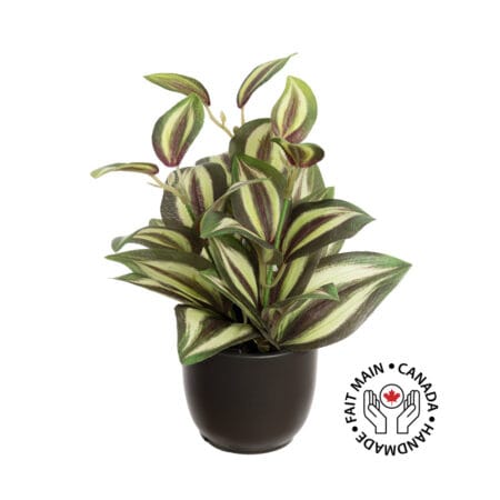 Mini artificial tradescantia plant in a black pot