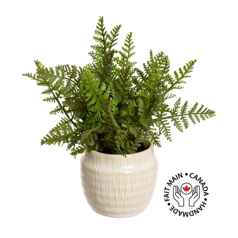 Petite plante de fougère artificielle en pot crème - Décors Véronneau