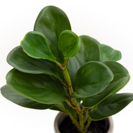 Mini plante de peperomia artificiel en pot taupe - Décors Véronneau